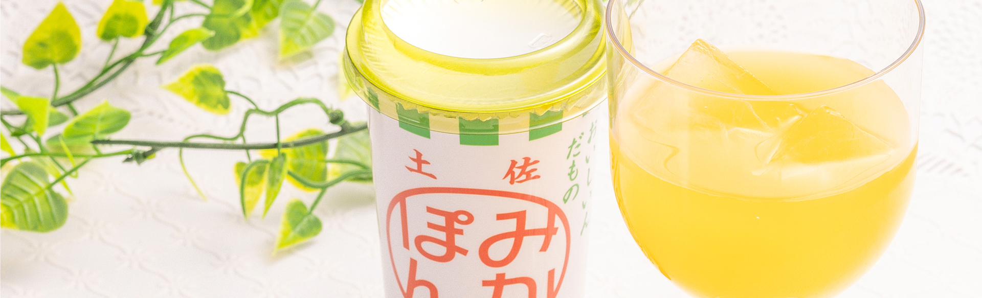 ドリンク
