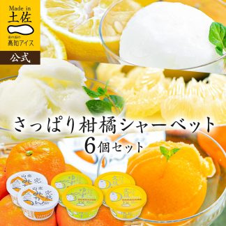 さっぱりシャーベット6個セット
