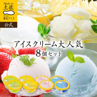 大人気アイスクリーム8個セット