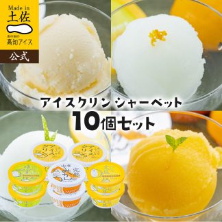 アイスクリンシャーベット10個セット
