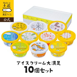 アイスクリーム 大満足10個セット