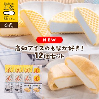 最中アイス12個セット