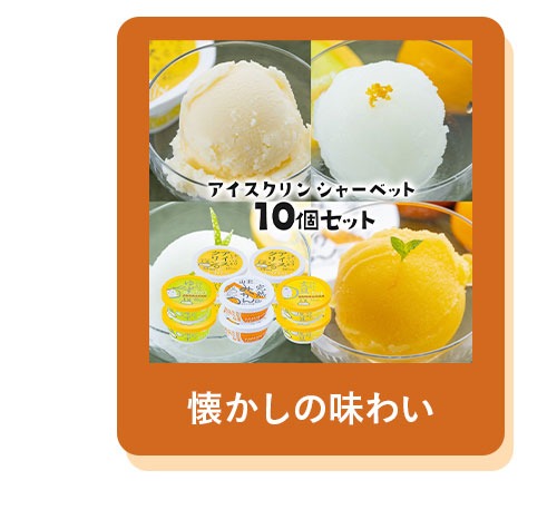 アイスクリンシャーベット10個セット