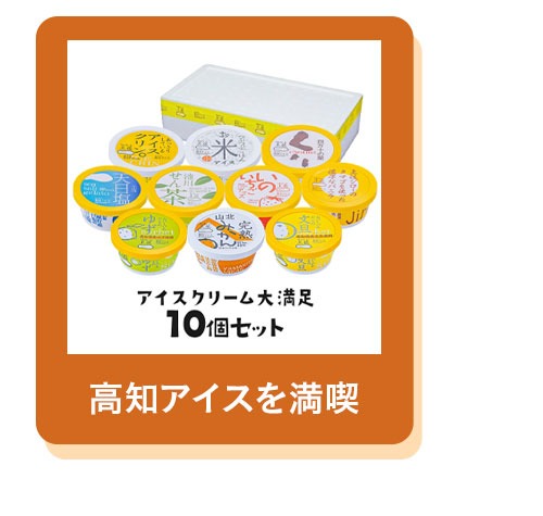 アイスクリーム 大満足10個セット